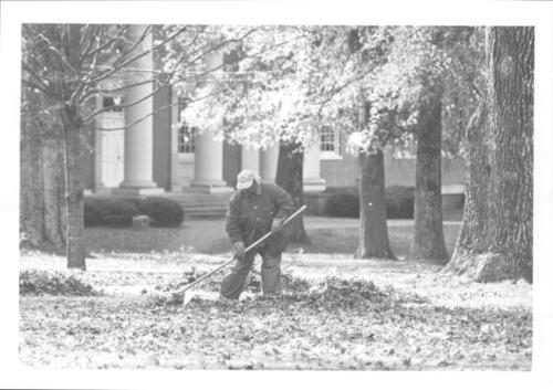 “Raking Autumn Leaves” (n.d.)